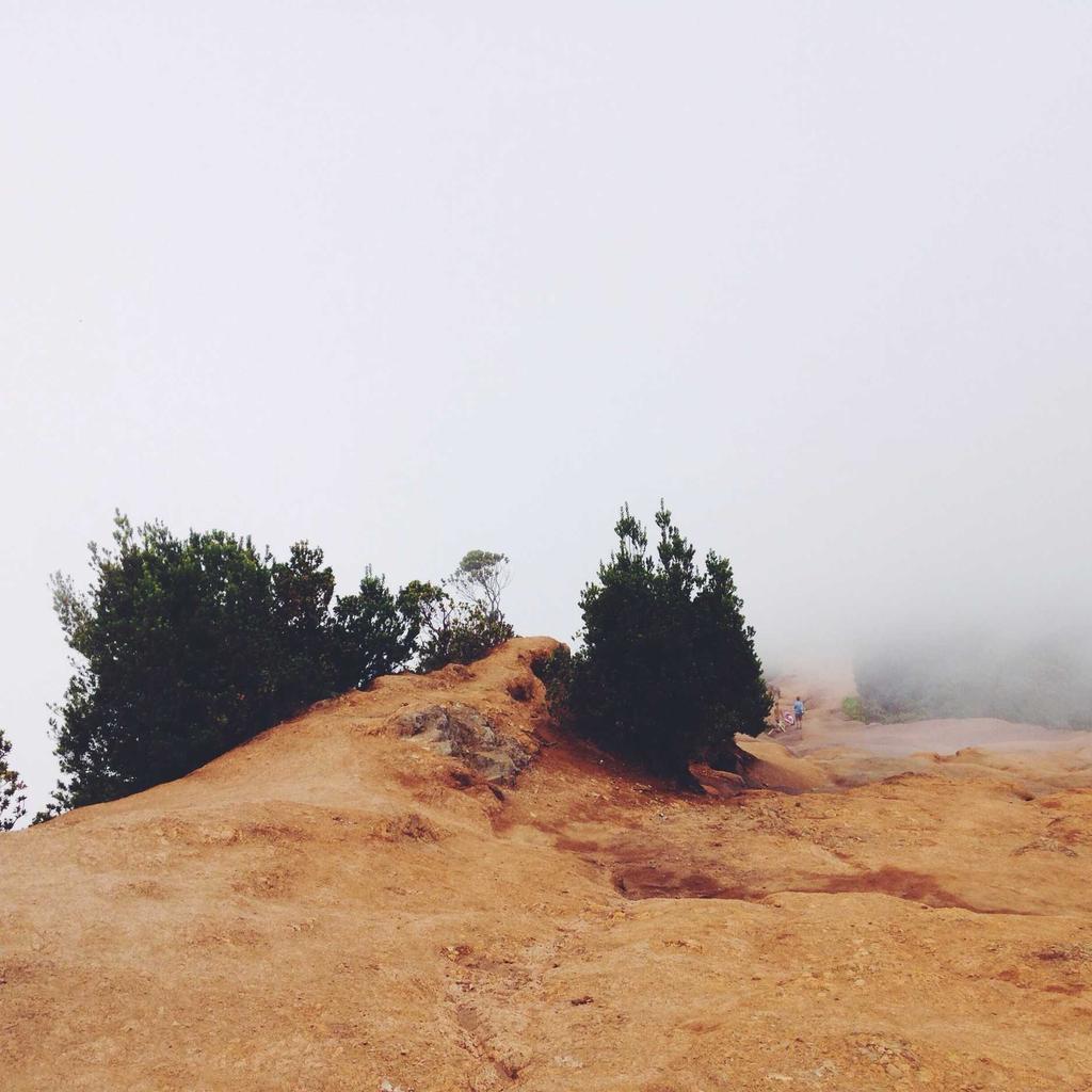 Doory – Open-Source Canva